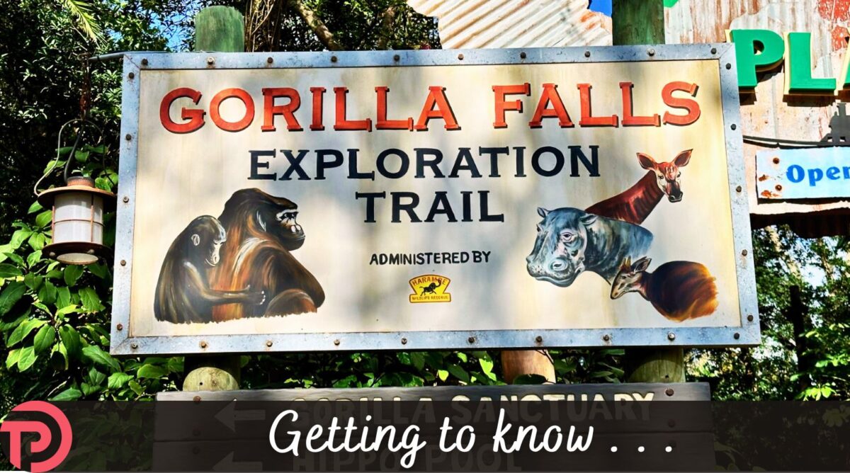 Getting to know Gorilla Falls Exploration Trail cover image showing the attraction advertising sign near Rafiki's Planet Watch entrance.