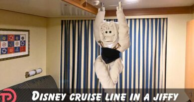 Disney Cruise Line in a Jiffy: What Are Towel Animals?