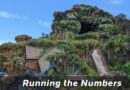 Update! Lightning Lane Multi Pass Priorities at Magic Kingdom