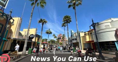 Disney+ Subscriber Special Disney World Tickets for Early 2026