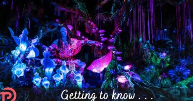 Five Things to Know About Na’vi River Journey