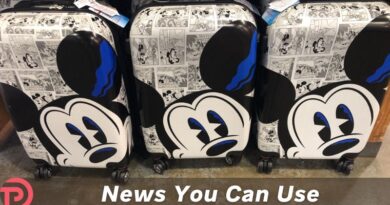 Airport Luggage Delivery to Your Hotel Is Returning to Disney World