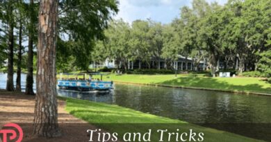 The Sassagoula River Cruise – Think Twice, Bruh The Sassagoula River Cruise – Think Twice, Bruh