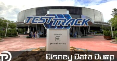 Disney Data Dump July 30 2025