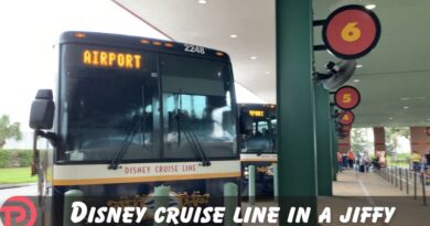 Disney Cruise Line in a Jiffy: What is a Cruise Transfer?