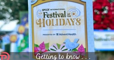 Guide to the 2025 EPCOT Festival of the Holidays