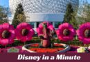 Disney in a Minute: What Is an EPCOT Festival?