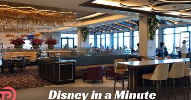 Disney in a Minute: What is Signature Dining?