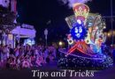 Where to View Disney World’s Starlight Parade