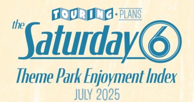 Theme Park Enjoyment Index for JULY 2025 (Starlight Parade, Tom Sawyer Island RIP, Walt Disney A.A. and MORE!)
