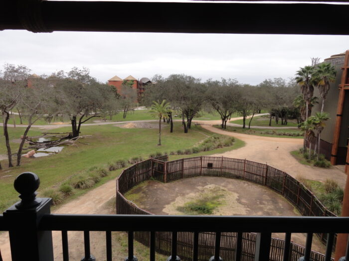 View of the savanna at Disney's Animal Kingdom Lodge room 4320. In the foreground is a feeding pen for the animals. In the medium and far distance is a tree-lined savanna, with a watering hole and paths for the animals to walk