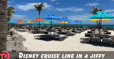 Disney Cruise Line in a Jiffy: What is a Double Dip Cruise? Disney Cruise Line in a Jiffy: What is a Double Dip Cruise?