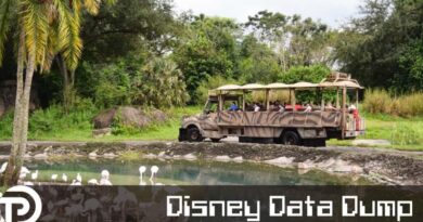 Disney Data Dump August 13 2025