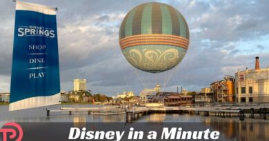 Disney in a Minute: What is Disney Springs?
