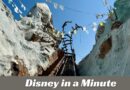 Disney in a Minute: What is a Chicken Exit?