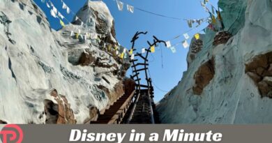 Disney in a Minute: What is a Chicken Exit? Disney in a Minute: What is a Chicken Exit?