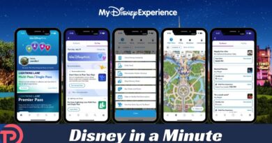 Disney in a Minute: What is My Disney Experience?