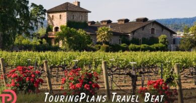 TouringPlans Travel Beat 8-31-2025