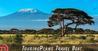 TouringPlans Travel Beat 8-3-2025 TouringPlans Travel Beat 8-3-2025