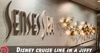 Disney Cruise Line in a Jiffy: What is Senses Spa? Disney Cruise Line in a Jiffy: What is Senses Spa?