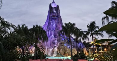 2026 Guide to Volcano Bay Nights
