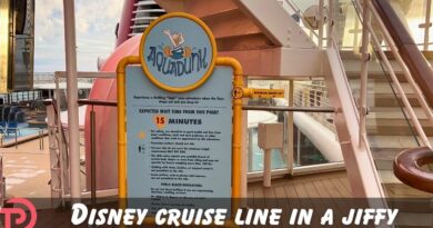 Disney Cruise Line in a Jiffy: What is the AquaDunk? Disney Cruise Line in a Jiffy: What is the AquaDunk?