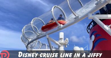 Disney Cruise Line in a Jiffy: What is the AquaMouse?