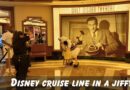 Disney Cruise Line in a Jiffy: What is a Meet & Greet?