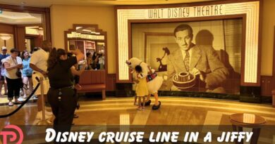 Disney Cruise Line in a Jiffy: What is a Meet & Greet? Disney Cruise Line in a Jiffy: What is a Meet & Greet?