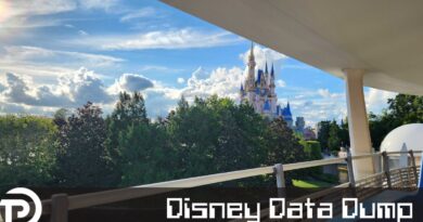 Disney Data Dump September 24 2025