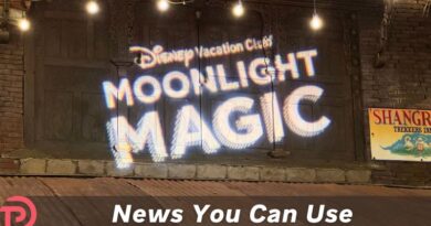 2026 Moonlight Magic Dates and Details for Disney Vacation Club
