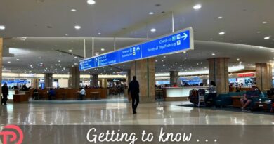 How To Get From the Airport to Disney World (And Back)