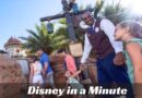 Disney in a Minute: What is a VIP tour?