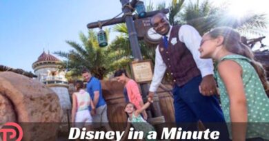 Disney in a Minute: What is a VIP tour? Disney in a Minute: What is a VIP tour?