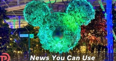Behind the Seeds: Glimmering Greenhouses is Back for 2025!