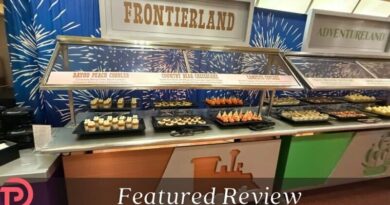 Review: New (Standard & Gluten-Friendly!) Treats at the Magic Kingdom Fireworks Dessert Party