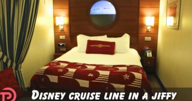 Disney Cruise Line in a Jiffy: What is a Magical Porthole? Disney Cruise Line in a Jiffy: What is a Magical Porthole?