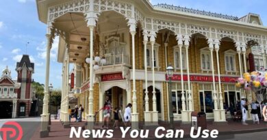 Highlights of Disney World and Disneyland Yearly October Price Increases in 2025 Highlights of Disney World and Disneyland Yearly October Price Increases in 2025