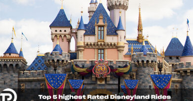 Top 5 Highest Rated Disneyland Rides Top 5 Highest Rated Disneyland Rides