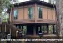 Video: What It’s Like staying in a Walt Disney World Treehouse Villa in 2025