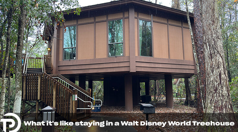 Video: What It’s Like staying in a Walt Disney World Treehouse Villa in 2025