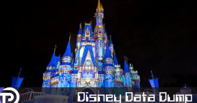 Disney Data Dump November 26 2025