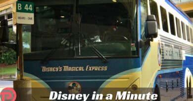 Disney in a Minute: What was Disney’s Magical Express?