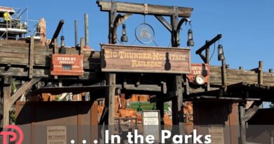 Big Thunder Mountain Construction Update: What’s Next?