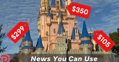 Dynamic Pricing Headed for Disney World? A Look at Which Experiences May Be Impacted