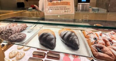 Snacks in the France Pavilion