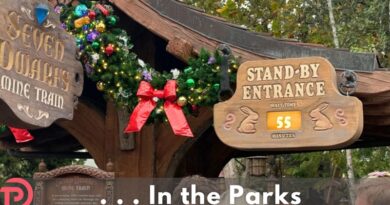 Magic Kingdom 7:30am Early Entry on Thanksgiving Day