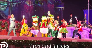 Mickey’s Very Merry Christmas Party 2025 Strategy