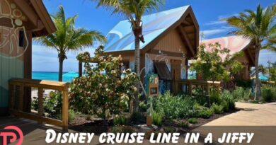 Disney Cruise Line in a Jiffy: What is a Cabana?