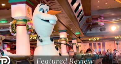 Olaf’s Royal Picnic Review: A Pricey Production That May Leave You Feeling Frosty